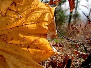 2011-11-28 17:27:01