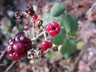 2011-11-28 17:30:20