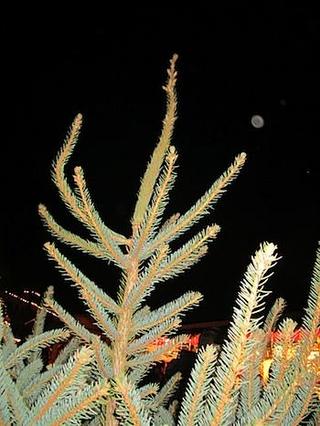 2011-11-28 17:54:18