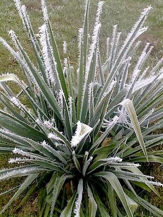 2011-11-28 23:05:37