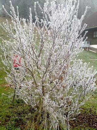2011-11-28 23:06:08
