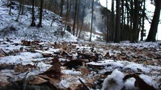 2011-01-31 20:38:19