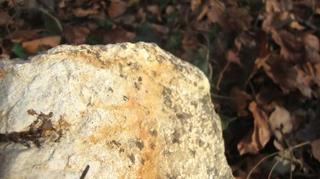 2011-01-31 20:46:35