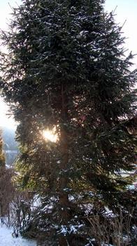 2011-01-02 16:11:12