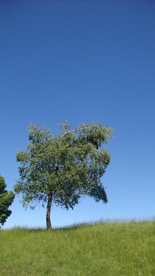 2011-06-30 22:03:13