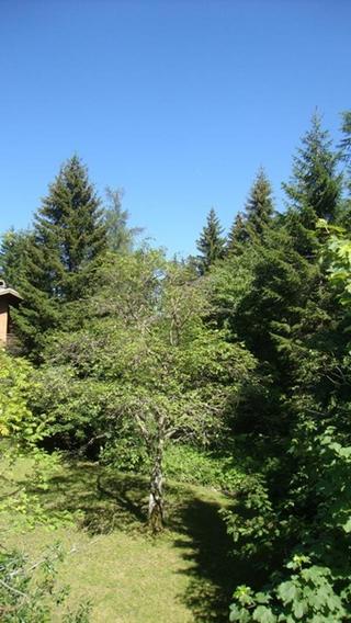 2011-06-30 22:03:30