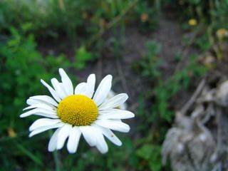 2011-06-15 08:21:48