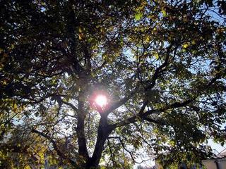 2011-10-30 22:16:30