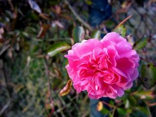 2011-10-30 22:23:55