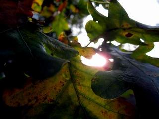2011-10-30 22:24:49