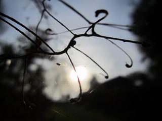 2011-10-30 22:25:27