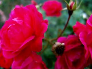 2011-09-29 21:24:44