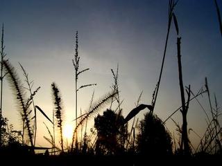 2011-09-29 21:25:43