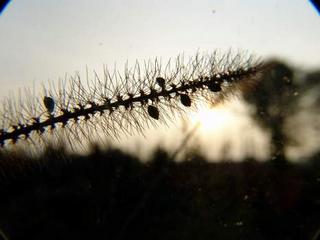 2011-09-29 21:26:32
