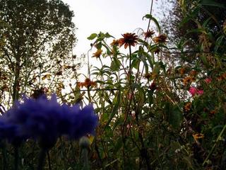 2011-09-29 21:27:38