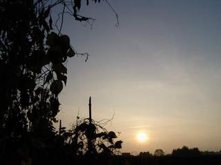 2011-09-29 21:33:21