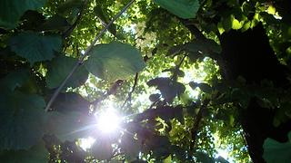 2011-08-29 23:01:36