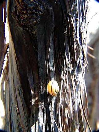 2011-08-29 23:28:14