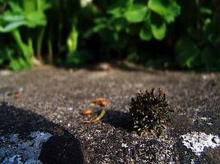 2011-08-29 23:29:08