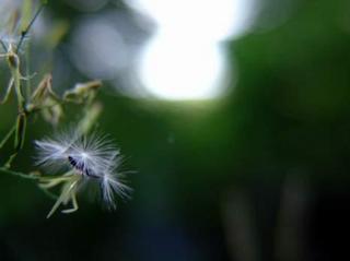 2012-07-22 23:18:04