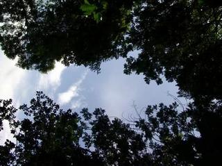 2012-07-22 23:19:38