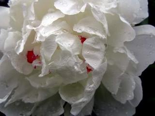 2012-07-22 23:46:25