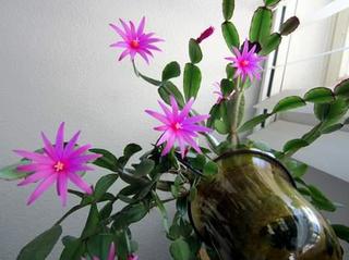 2012-07-22 23:26:23