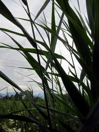 2012-07-22 23:33:31
