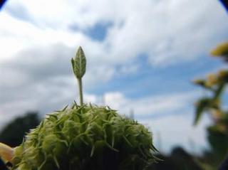 2012-06-26 23:20:16