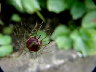 2012-06-26 23:21:38