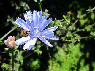 2012-06-27 13:11:22
