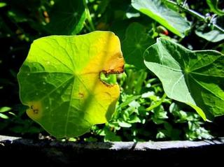 2012-06-27 13:11:42