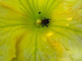 2012-06-27 13:23:22