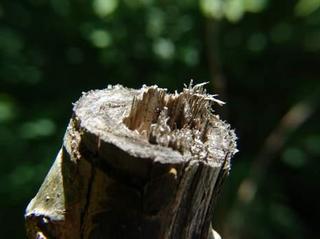 2012-05-31 22:33:28