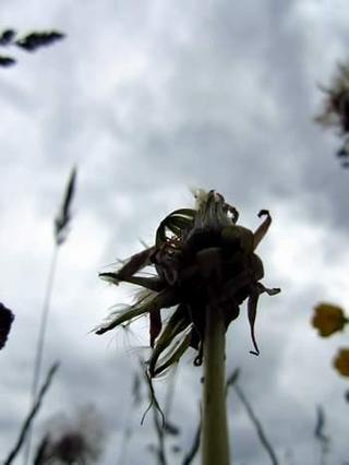 2012-05-31 22:38:13