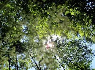 2012-05-31 22:42:16