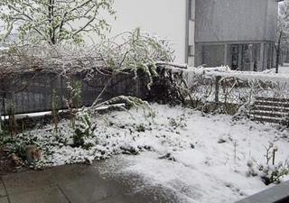 2012-04-28 08:29:35