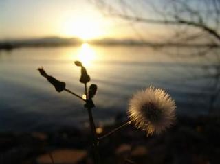 2012-02-29 21:09:04