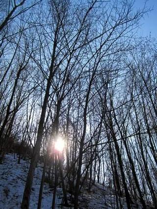2012-02-29 20:18:30