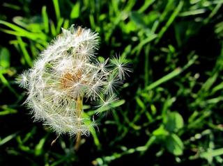 2012-09-29 14:41:33