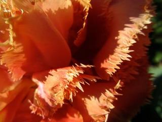 2013-05-28 21:09:08