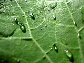 2013-10-29 21:43:53
