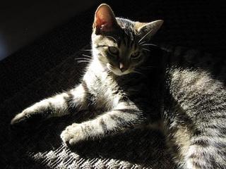 2013-10-29 21:45:28