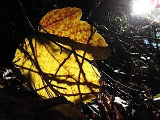 2013-10-29 22:06:16