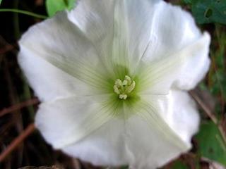 2013-10-29 22:28:54