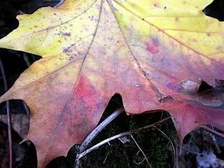 2013-10-29 22:34:12