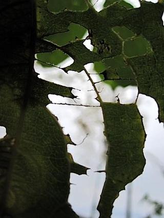 2013-10-29 22:36:43