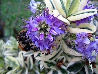 2013-10-29 22:40:11