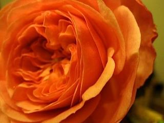 2013-10-29 22:53:03