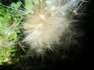 2013-08-28 20:16:20